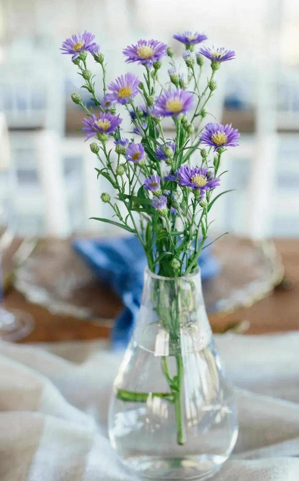 A close-up of purple aster blooms in a glass bud vase.