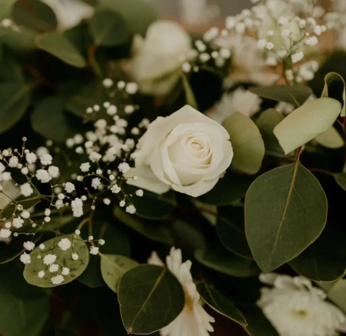 A close-up of a white rose with eucalyptus and baby's breath.